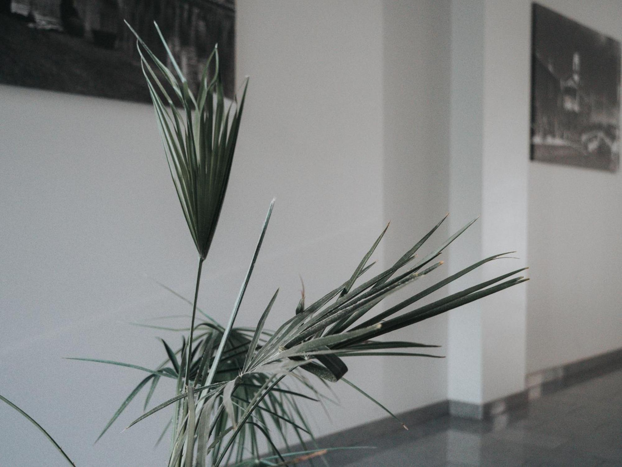 Tolstoi Apartment Mailand